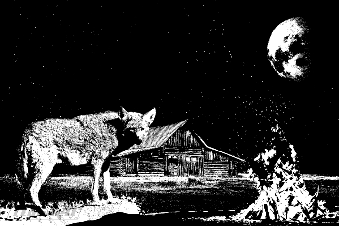 coyote at night, w/ fire, cabin, and moon