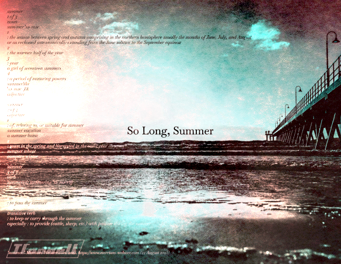 business card designs